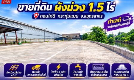 ขายที่ดิน - ขายที่ดินผังสีม่วง 1 ไร่ 1 งาน 91.6 ตร.ว. ดอนไก่ดี กระทุ่มแบน ทำเลสำหรับคนมองหา "ที่ดินพร้อมใช้" ไม่ใช่แค่ที่ดินเปล่า