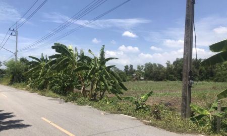 ขายที่ดิน - ขายที่ดินหนองเสือ บึงชำอ้อ ปทุมธานี คลอง 8 ฝั่งตะวันออก เนื้อที่ 2 ไร่