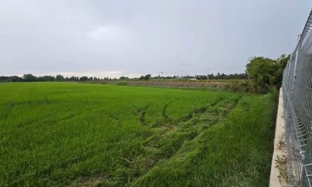 ขายที่ดิน - ขายด่วน ที่ดินผังม่วง 8 ไร่ ติดถนนสาธารณะ ไทรใหญ่ ไทรน้อย นนทบุรี