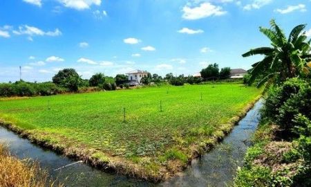 ขายที่ดิน - ขายที่ดินคลอง 12 หนองเสือ 1 ไร่ ติดถนน 2 ด้าน เหมาะปลูกบ้านสวน ทำเกษตรพอเพียงได้ ทำโกดัง อยู่ใกล้แหล่งชุมชน