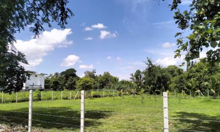 ขายที่ดิน - ขายที่ดินตำบลหางดงห่างโรงพยาบาลเพียง 2.5 กม พร้อมโอน