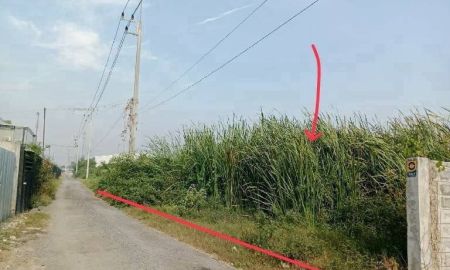ขายที่ดิน - ขายถูกมากๆ ต่ำกว่าราคาตลาด ที่ดินผังสีม่วงลาย ถ.เลียบคลองอุดมชนขจร ซ.วัดคู้เกษม สโมสรต.คลองหลวงแพ่ง อ.เมืองฉะเชิงเทรา