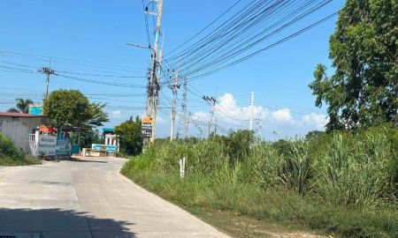 ขายที่ดิน - ขายที่ดินมาบไผ่ 2 ไร่ ซอยวัดหนองแฟบ ใกล้ถนนเส้นศุขประยูร315-3.2กม. อ.บ้านบึง ชลบุรี