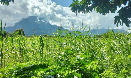ขายที่ดิน - ขายที่ดินเนินสโลปวิวดอยหลวงติดถนนหลวง 107 พร้อมโอน