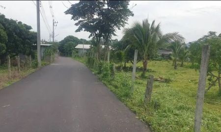 ขายที่ดิน - ขายที่สวนผลไม้สันกำแพงออนใต้ติดถนนพร้อมโอน