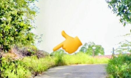 ขายที่ดิน - ที่ดินสวย กลางเนิน น้ำไม่ท่วม อ.ท่าปลา อุตรดิตถ์