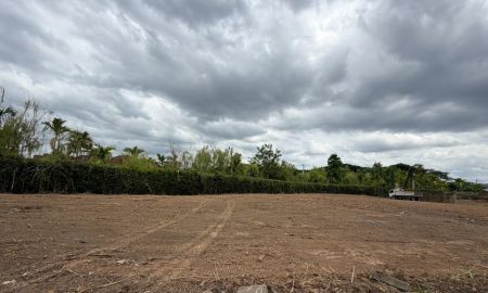 ขายที่ดิน - ขายที่ดิน ใกล้ถนน 3 ด้าน เชียงใหม่ (ต.สันทราย)