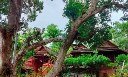 ขายที่ดิน - ขายบ้านไม้สักตำบลดอนแก้วแม่ริมโฉนดพร้อมโอน