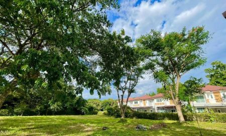 ขายที่ดิน - ขายที่ดิน 2 ไร่ 71 ตรว. สันผีเสื้อ เชียงใหม่ ใกล้รวมโชค NIS/2 Rai 71 sq.wha Land for Sale in San Phi Suea