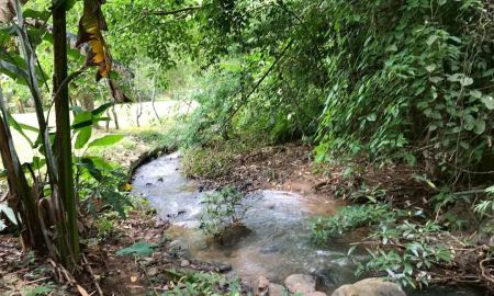 ขายที่ดิน - ขายที่ดิน 10 ไร่ บ้านปง หางดง เชียงใหม่ ติดถนนหลักพร้อมพัฒนา/10 Rai Developed Land for Sale in Ban Pong,Hang Dong Chiang Mai