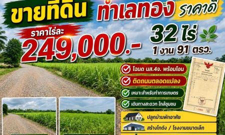 ขายที่ดิน - ขายที่ดินเปล่า 2 เเปลง ทำเลดี เหมาะสำหรับลงทุน จังหวัดนครราชสีมา