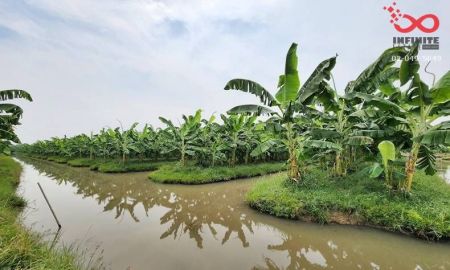 ขายที่ดิน - ขายที่ดิน 44 ไร่เศษ ถนนเลียบคลอง 11 หนองเสือ ปทุมธานี