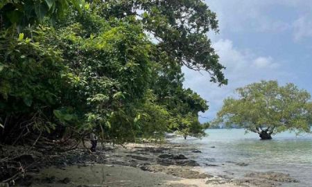 ขายที่ดิน - ขายที่ดินเปล่า 35 ไร่ ทำเลดี ติดหาด เกาะโหลน อำเภอเมือง จังหวัดภูเก็ต