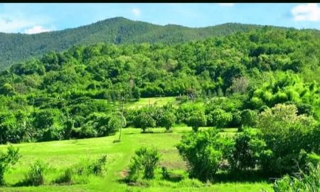 ขายที่ดิน - ขายที่สวยแม่ออนมีลำธารน้ำไหลผ่านโฉนดพร้อมโอน