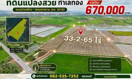 ขายที่ดิน - ขายที่ดินแปลงใหญ่ สวย ติดถนน วิวภูเขา ขนาด 33 ไร่ ทำเลศักยภาพ หนองยาว ฉะเชิงเทรา
