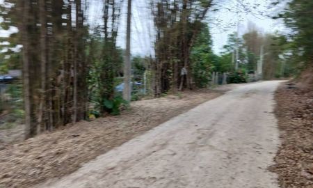 ขายที่ดิน - ขายที่ดินตำบลขี้เหล็กแม่ริมห่างมหาวิทยาลัยราชภัฏเพียง 100เมตร