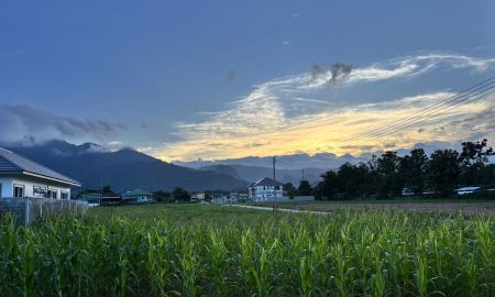 ขายที่ดิน - ขายที่ดินวิวสวย 112ตร.ว. แม่สาย เชียงราย