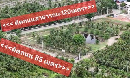 ขายที่ดิน - ขายที่ดินสมุทรสงคราม ติดถนนหน้ากว้างทางไปตลาดน้ำท่าคา ถูกที่สุดในโซนนี้ ฟรีโอน คุยง่าย จบไว เจ้าของใจดี