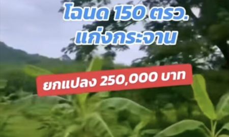 ขายที่ดิน - ที่ดิน 150 ตรว.วงเวียนแก่งกระจาน ใกล้ชุมชน หน่วยงานราชการ