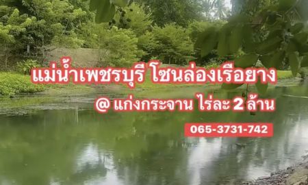 ขายที่ดิน - ที่ดินติดแม่น้ำเพชรบุรี โซนล่องเรือยาง รีสอร์ทล้อมรอบ