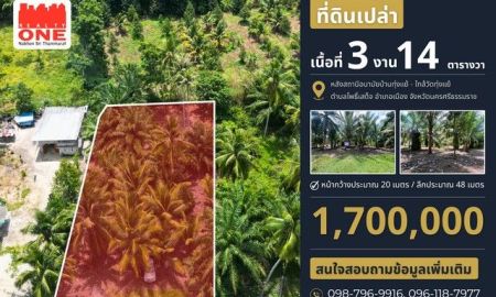 ขายที่ดิน - ที่ดินเปล่า เนื้อที่ 3 งาน 14 ตารางวา หลังสถานีอนามัยบ้านทุ่งแย้