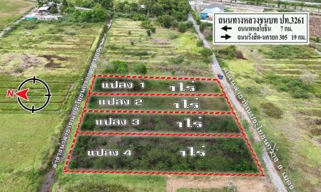 ขายที่ดิน - ที่ดินสวนเกษตรบุญจอง หนองเสือ อากาศโล่งสบาย เหมาะทำบ้านสวน