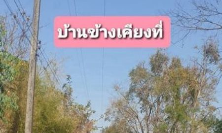 ขายที่ดิน - ขายที่ดิน 15-2-26ไร่ สกลนคร พังโคน พิกัด ต.พังโคน อ.พังโคน สกลนคร