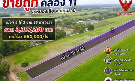 ขายที่ดิน - ที่ดินสวยเชิงเกษตรบ้านสวน คลอง11 อ.หนองเสือ
