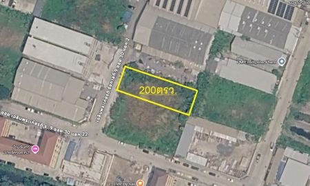 ขายที่ดิน - ดีลลับนักลงทุน! ที่ดินประเวศ 200 ตร.ว. ผังสีเหลือง ถนนกว้าง 12 เมตร แปลงสวยทำ Yield เช่าสูง ใกล้บางนา-ศรีนครินทร์.