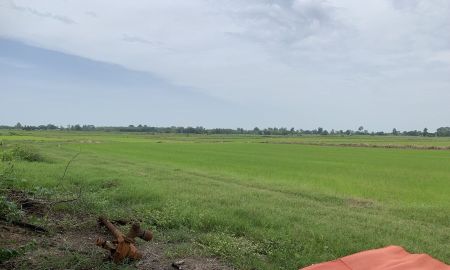 ขายที่ดิน - ขายที่ดิน 11 ไร่ 3 งาน อ.บางกระทุ่ม จ.พิษณุโลก ทำเลดี บรรยากาศร่มรื่น เหมาะสำหรับการลงทุน