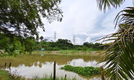 ขายที่ดิน - ขายที่ดินริมแม่น้ำตาปี ทำเลทอง บรรยากาศดี วิวสวยธรรมชาติ อากาศบริสุทธิ์ ใกล้เมืองพุนพิน สุราษฎร์ธานี
