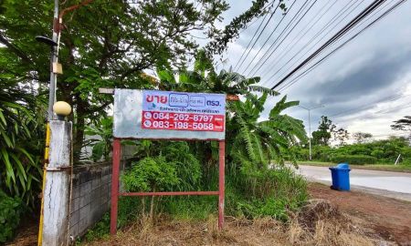 ขายที่ดิน - ขายที่ดินพร้อมสิ่งปลูกสร้าง ทำเลทองพุนพิน เนื้อที่ 1 ไร่ 144 ตร.ว. ต.ท่าข้าม อ.พุนพิน จ.สุราษฎร์ธานี