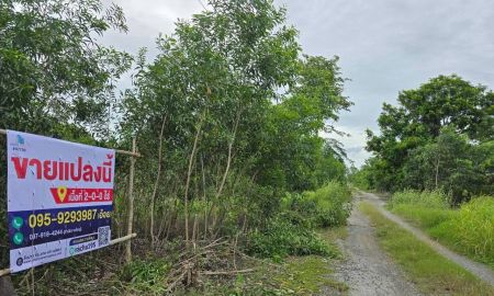 ขายที่ดิน - ขาย ที่ดินเปล่า ทำเลชานเมือง ท่ามกลางบรรยากาศธรรมชาติ ใกล้แหล่งชุมชน,ตลาด,หน่วยงานราชการ และการเดินทางสะดวก