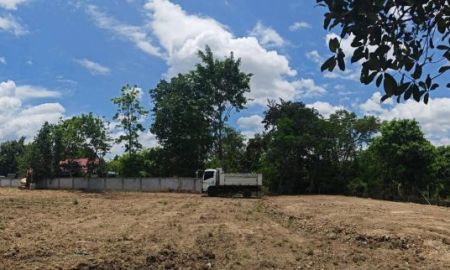 ขายที่ดิน - ขายที่ดินบ้านปากกองสารภีห่างต้นยาง 300เมตร