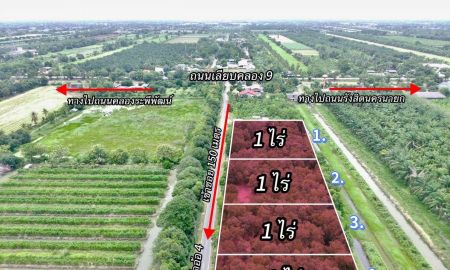 ขายที่ดิน - ที่ดินถมแล้ว คลอง9 หนองเสือ เหมาะสร้างบ้าน