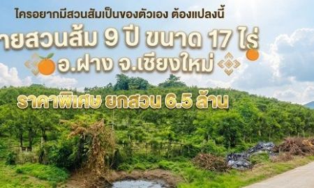 ขายที่ดิน - โอกาสทองหลุดจอง! ขายยกสวนส้มฝาง 17 ไร่เศษ สภาพสมบูรณ์พร้อมเก็บกำไรต่อทันที เพียง 6.5 ล้าน (ต่อรองได้)