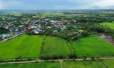 ขายที่ดิน - ที่นา 7-3-08 ไร่ ใกล้หมู่บ้านและสถานีรถไฟบ้านกลับ ตำบลบ้านกลับ อำเภอหนองโดน จังหวัดสระบุรี