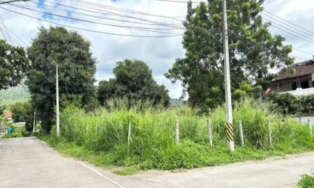 ขายที่ดิน - ขายที่ดินตำบลช้างเผือกแปลงมุมติดถนนสองด้านโฉนดพร้อมโอน
