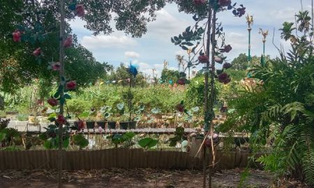 ขายที่ดิน - ขายที่ดินบนเกาะเกร็ดนนทบุรี พัฒนาเป็นwellness แอนด์สปาสถานที่จัดงานแต่งงานไทยมอญ