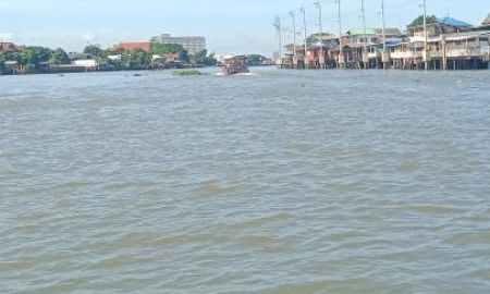 ขายที่ดิน - ขายที่ดินบนเกาะเกร็ดนนทบุรี พัฒนาเป็นwellness แอนด์สปาสถานที่จัดงานแต่งงานไทยมอญ