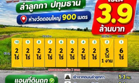 ขายที่ดิน - ที่ดินคลอง8 ลำลูกกา ปทุมธานี (ห่างวัดดอนใหญ่ 900 เมตร) ไร่ล่ะ 3.9 ล้านบาท