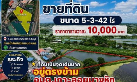 ขายที่ดิน - ขายที่ดินบ่อปลา ขนาด 5 ไร่ 3 งาน 42 ตรว ต.เกาะลอย อ.พานทอง จ.ชลบุรี