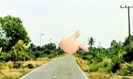 ขายที่ดิน - ที่ดินแปลงใหญ่ ขนาด 18 ไร่ อ.วังทอง พิษณุโลก
