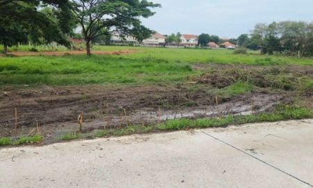ขายที่ดิน - ขายที่ดินตำบลหนองควายหางดงห่างถนนเส้นหลัก 50 เมตร