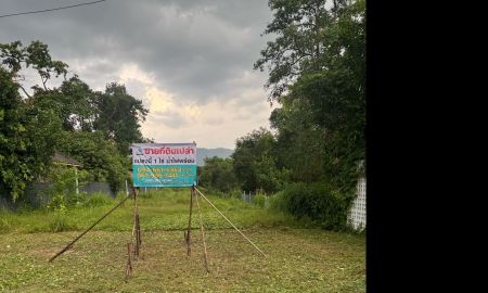 ขายที่ดิน - ขายที่ดินถมแล้วติดคาเฟ่โหน่งชะชะช่า 1 ไร่ จังหวัดนครนายก