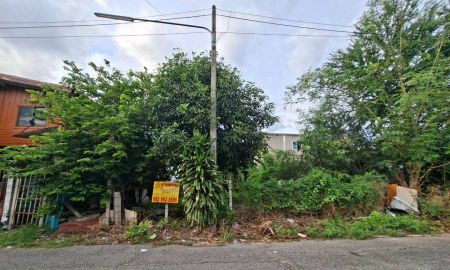 ขายที่ดิน - ขายที่ดินเปล่า ชุมชนเคหะวัดไพร่ฟ้า ปทุมธานี