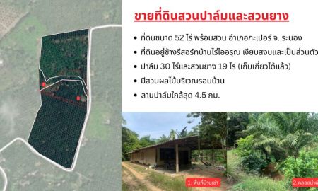 ขายที่ดิน - ขายที่ดินพร้อมสวนปาล์มและสวนยางพารา ทำเลศักยภาพ อำเภอกะเปอร์ จังหวัดระนอง