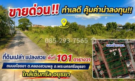 ขายที่ดิน - ขายที่ดิน ถนนอโยธยา พระนครศรีอยุธยา ตำบลคลองสวนพลู เข้าซอย 400 เมตร แปลงสวย พื้นที่ 101 ตารางวา ใกล้เซ็นทรัล อยุธยา