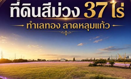 ขายที่ดิน - ทำเลอุตสาหกรรมศักยภาพสูง ที่ดินสีม่วง เนื้อที่ 37 ไร่ ทำเลเด่นติดถนนหมายเลข 346 ปทุมธานี ลาดหลุมแก้ว ต.คูขวาง อ.ลาดหลุมแก้ว จ.ปทุมธานี