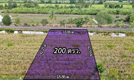 ขายที่ดิน - ที่ดินเงินผ่อนเชิงบ้านสวนเกษตร คลอง 11 อ.หนองเสือ